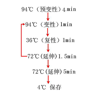 202008181597719577441 KU酷游官网-相信品牌力量
