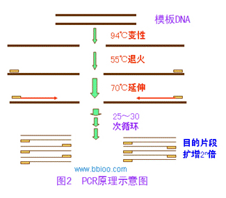 202008181597719675079 KU酷游官网-相信品牌力量