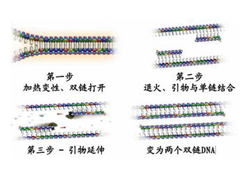 202008181597719810776 KU酷游官网-相信品牌力量