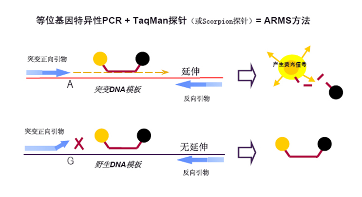 202008181597720826753 KU酷游官网-相信品牌力量